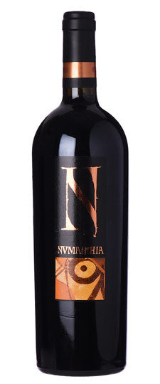 2005 Bodega Numanthia Termes 