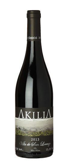 2013 Akilia 