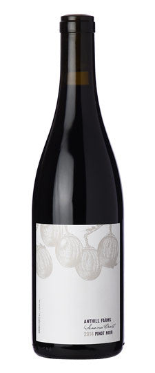 2014 Anthill Farms Sonoma Coast Pinot Noir