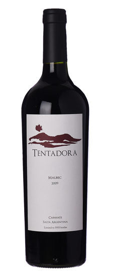 2009 William Knuttel 